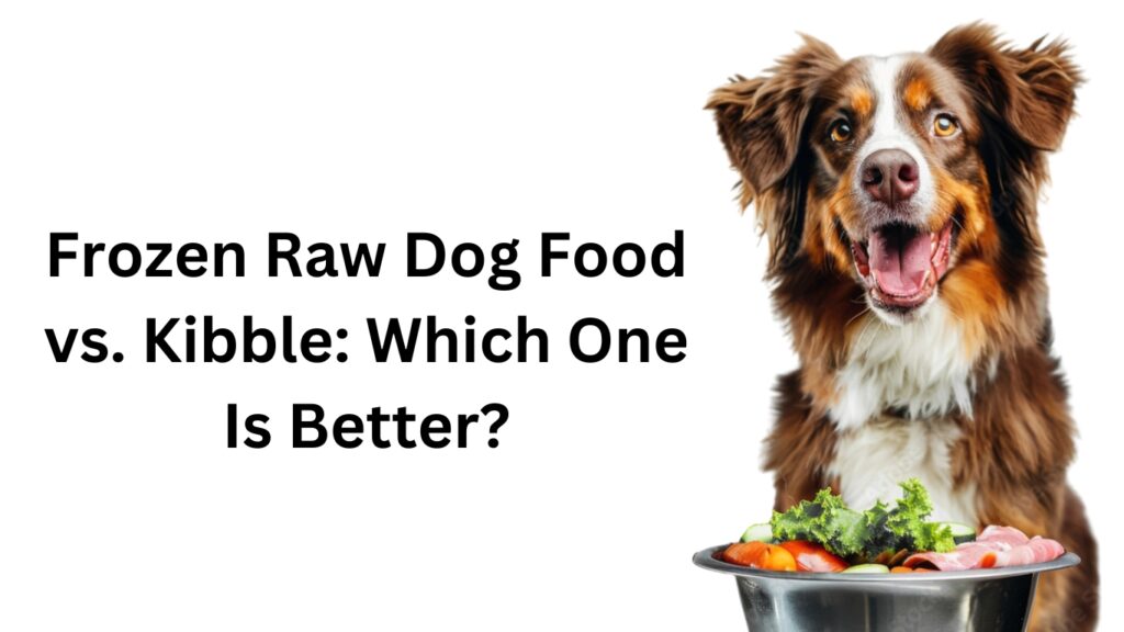 raw frozen dog food