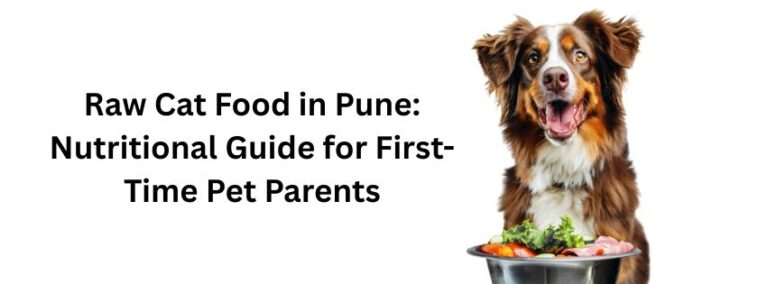 Read more about the article Raw Cat Food in Pune: Nutritional Guide for First-Time Pet Parents