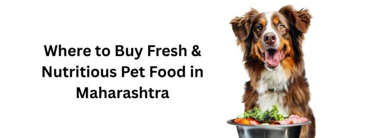 Read more about the article Where to Buy Fresh & Nutritious Pet Food in Maharashtra