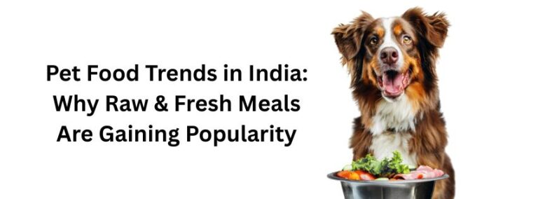 Read more about the article Pet Food Trends in India: Why Raw & Fresh Meals Are Gaining Popularity
