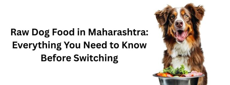 Read more about the article Raw Dog Food in Maharashtra: Everything You Need to Know Before Switching