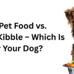 Healthy Pet Food vs. Commercial Kibble – Which Is Best for Your Dog?
