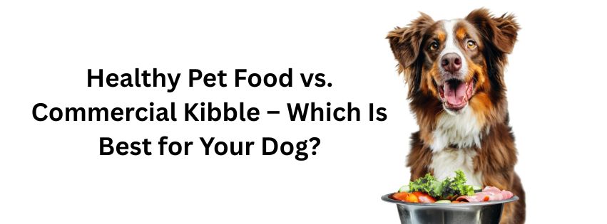 You are currently viewing Healthy Pet Food vs. Commercial Kibble – Which Is Best for Your Dog?