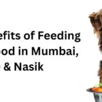 Top 10 Benefits of Feeding Raw Dog Food in Mumbai, Pune & Nasik