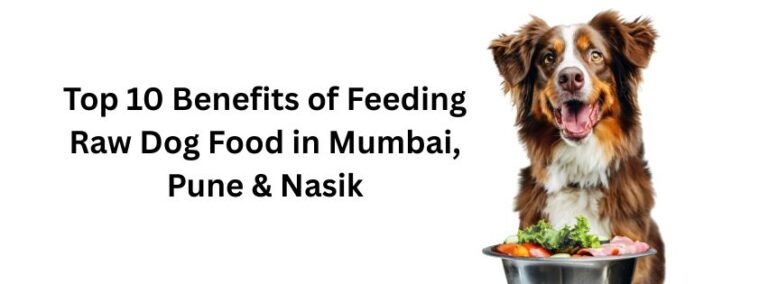 Read more about the article Top 10 Benefits of Feeding Raw Dog Food in Mumbai, Pune & Nasik