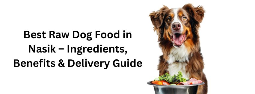 You are currently viewing Best Raw Dog Food in Nasik – Ingredients, Benefits & Delivery Guide